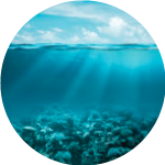 Submerged / Marine Enviroments